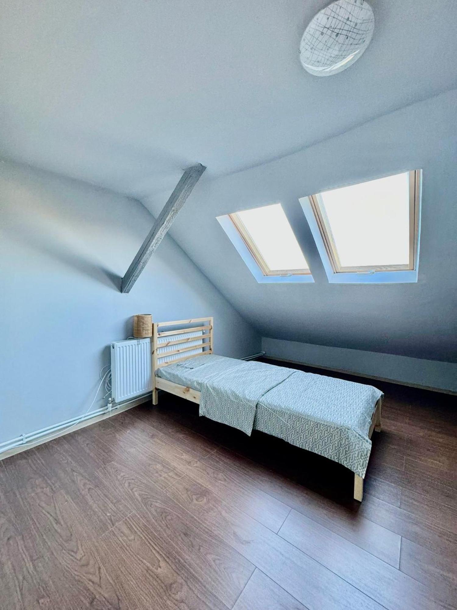 Serbian House Temesvár Kültér fotó